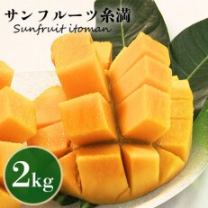【2024年発送】 沖縄県知事賞4度受賞　サンフルーツ糸満のマンゴー2kg | ふるさと納税のお礼品