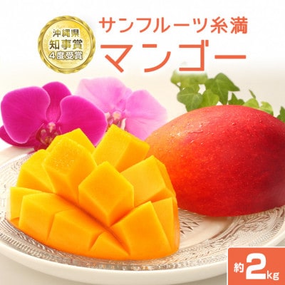【2025年発送】 沖縄県知事賞4度受賞　サンフルーツ糸満のマンゴー2kg