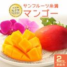 【2026年発送】 サンフルーツ糸満のマンゴー 家庭用 2kg