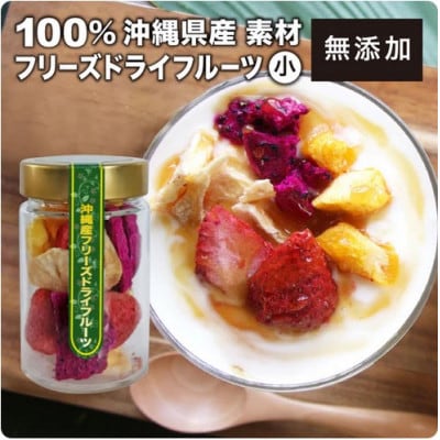 沖縄フリーズドライフルーツ (30g)×2