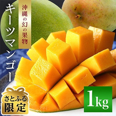 [2025年発送] 国吉さんのキーツマンゴー1kg(1玉～2玉)【さとふる限定】