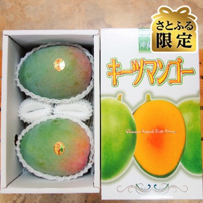 [2025年発送] 国吉さんのキーツマンゴー2kg(2玉～4玉)【さとふる限定】