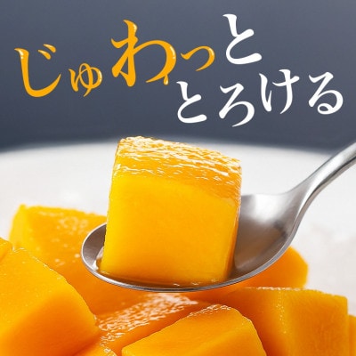 [2026年発送] 国吉さんのキーツマンゴー2kg(2玉～4玉)【さとふる限定】
