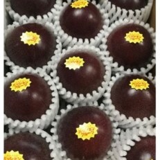 【2024年発送】JAおきなわ糸満支店で厳選した「パッションフルーツ」<家庭用>約2kg