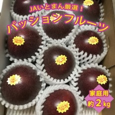 【2025年発送】JAおきなわ糸満支店で厳選した「パッションフルーツ」<家庭用>約2kg
