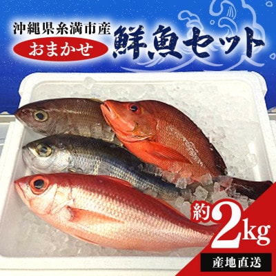 おまかせ鮮魚セット(約2kg)