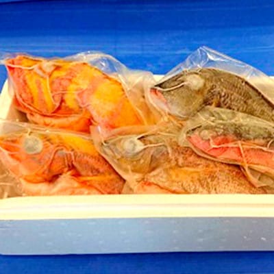 おまかせ鮮魚セット(約2kg)