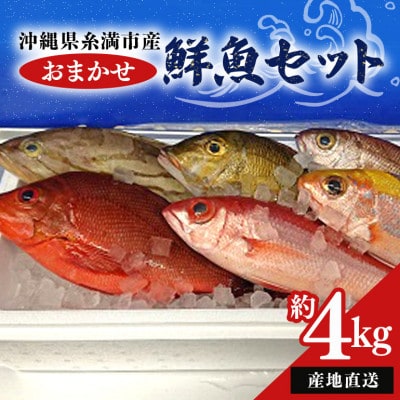 おまかせ鮮魚セット(約4kg)