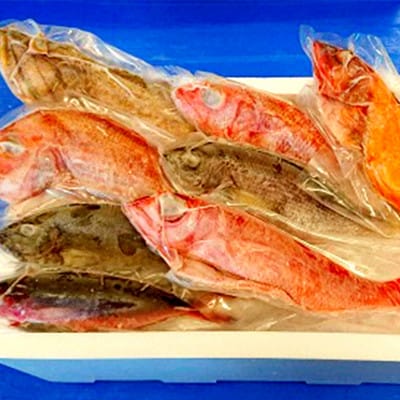 おまかせ鮮魚セット(約4kg)