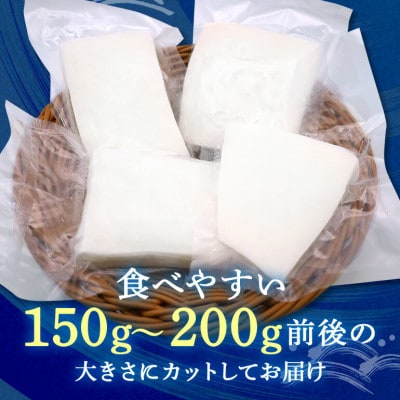 ソデイカ身(約1kg)