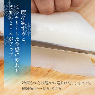 ソデイカ身(約5kg)