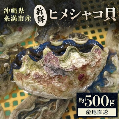 ヒメシャコ貝(約500g)