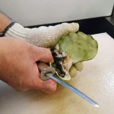ヒメシャコ貝(約500g)