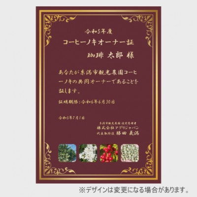 令和5年度コーヒーノキオーナー制度　会員権