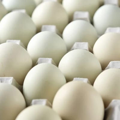 上原養鶏場のアローカナの青い卵(S～Lサイズ 55個+破卵保障5個)