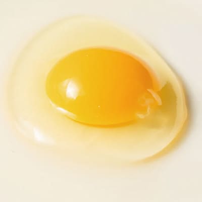 上原養鶏場のはっこう卵　3種食べ比べMS～Lサイズ 55個+破卵保障5個