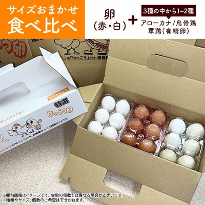 【毎月定期便】上原養鶏場のはっこう卵　3～4種おまかせ食べ比べ 15個+破卵保障3個 全6回