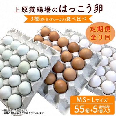 【毎月定期便】上原養鶏場のはっこう卵　3種食べ比べMS～Lサイズ 55個+破卵保障5個 全3回