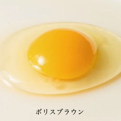 【毎月定期便】上原養鶏場のはっこう卵　3種食べ比べMS～Lサイズ 55個+破卵保障5個 全3回