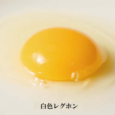 【毎月定期便】上原養鶏場のはっこう卵　3種食べ比べMS～Lサイズ 55個+破卵保障5個 全3回