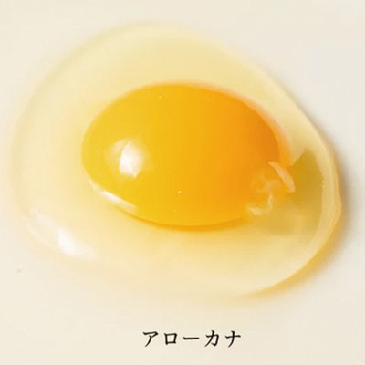 【毎月定期便】上原養鶏場のはっこう卵　3種食べ比べMS～Lサイズ 55個+破卵保障5個 全3回