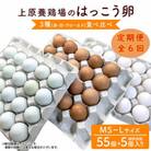 【毎月定期便】上原養鶏場のはっこう卵　3種食べ比べMS～Lサイズ 55個+破卵保障5個 全6回