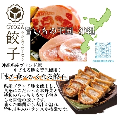 沖縄県ブランド豚キビまる豚贅沢使用!1個38g大判サイズの手包み餃子