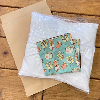 【海猫商店】『箱猫(ハコネコ)』クッション40×40 浅瀬