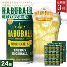 【毎月定期便】【南都酒造所】琉球ハブボール 350ml 24缶セット全3回