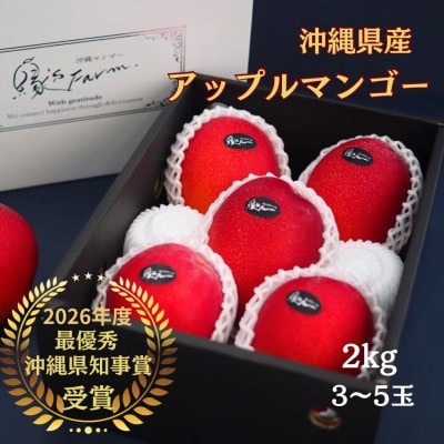 【2027年発送】沖縄県マンゴーコンテスト最優秀賞 縁'sファームのアップルマンゴー2kg