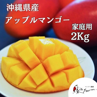 【2025年発送】 縁’sファームのアップルマンゴー 家庭用 2kg