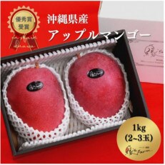 【令和4年沖縄県マンゴーコンテスト優秀賞受賞!】縁’sファームのアップルマンゴー 1kg(秀品)
