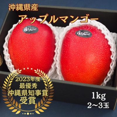 2025年発送 令和5年沖縄県マンゴーコンテスト最優秀賞 縁’sファームのアップルマンゴー1kg秀品