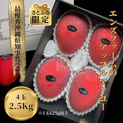 【さとふる限定】沖縄県マンゴーコンテスト最優秀賞　縁’sFarmのアップルマンゴー2.5kg　極