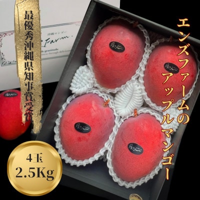 【さとふる限定】沖縄県マンゴーコンテスト最優秀賞 縁’sFarmのアップルマンゴー2.5kg 極
