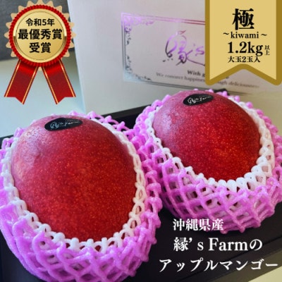 【2025年発送】沖縄県マンゴーコンテスト最優秀賞 縁’sFarmのアップルマンゴー極 1.2kg