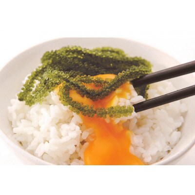 朝採れ!ぷちぷち海ぶどう小分けセット