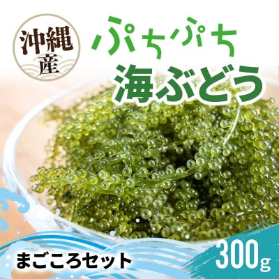 「ぷちぷち海ぶどう」まごころセット 300g 沖縄県 糸満市