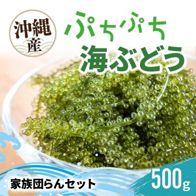 ぷちぷち海ぶどう 家族団らんセット  500g 沖縄県 糸満市