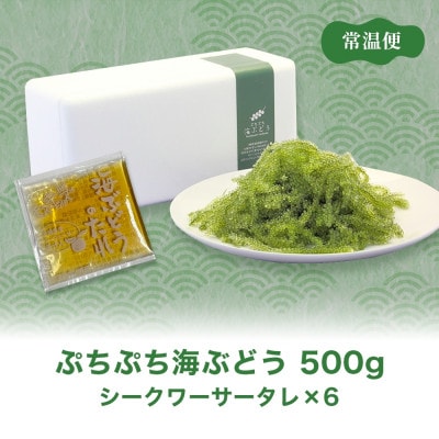 ぷちぷち海ぶどう 家族団らんセット  500g 沖縄県 糸満市