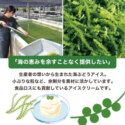 「ぷちぷち海ぶどうアイス」いろどりセット 3種 各2個 計6個 沖縄県 糸満市