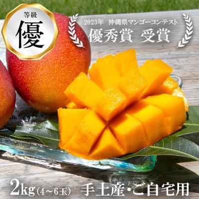 【2025年発送】【令和5年度優秀賞受賞】コーラルファーム(優品2kg)アップルマンゴー