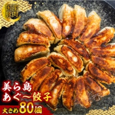 沖縄高級ブランド豚 濃厚な肉汁が溢れる!美ら島あぐ～餃子 20個入(480g)×4パック 合計80個
