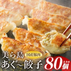 沖縄高級ブランド豚 濃厚な肉汁が溢れる!美ら島あぐー餃子 20個入(480g)×4パック 合計80個