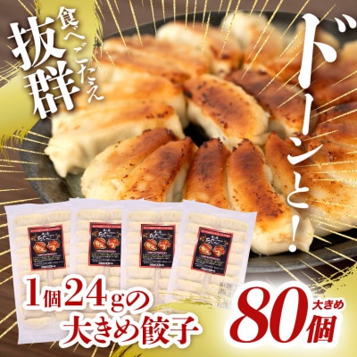 沖縄高級ブランド豚 濃厚な肉汁が溢れる!美ら島あぐー餃子 20個入(480g)×4パック 合計80個