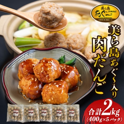 ブランド豚 美ら島あぐー 豚入りミートボール 合計2.0kg(400g×5パック)
