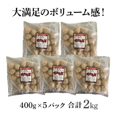 ブランド豚 美ら島あぐー 豚入りミートボール 合計2.0kg(400g×5パック)