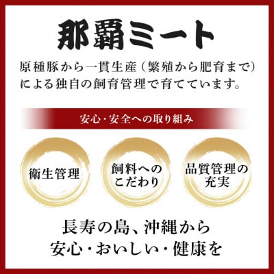 ブランド豚 美ら島あぐー 豚入りミートボール 合計2.0kg(400g×5パック)