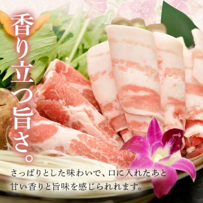 琉香豚 しゃぶしゃぶセット 3種食べ比べ(ロース、バラ、肩ロース)合計750g 小分け 真空パック