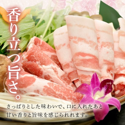 琉香豚 しゃぶしゃぶセット 2種食べ比べ(ロース、バラ) 合計1800g 真空パック